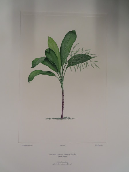 image FDA-E.2916_31_23-2016-A