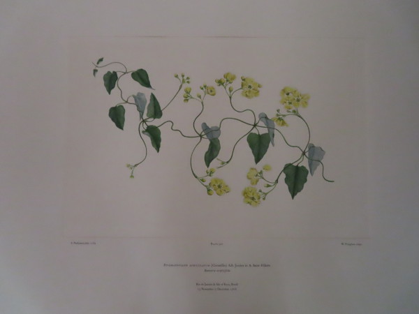 FDA-E.2916_16_6-2016-A image FDA-E.2916_16_6-2016-A