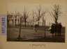 image PA-A.37_135-2012