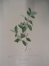 image FDA-E.2916_23_5-2016-A