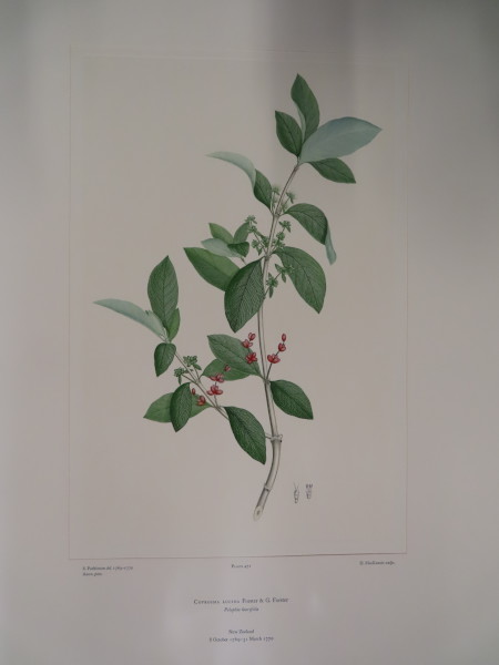 FDA-E.2916_23_5-2016-A image FDA-E.2916_23_5-2016-A