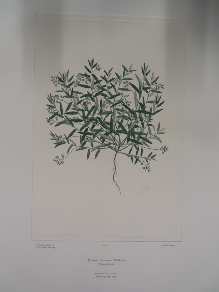 image FDA-E.2916_1_20-2016-A
