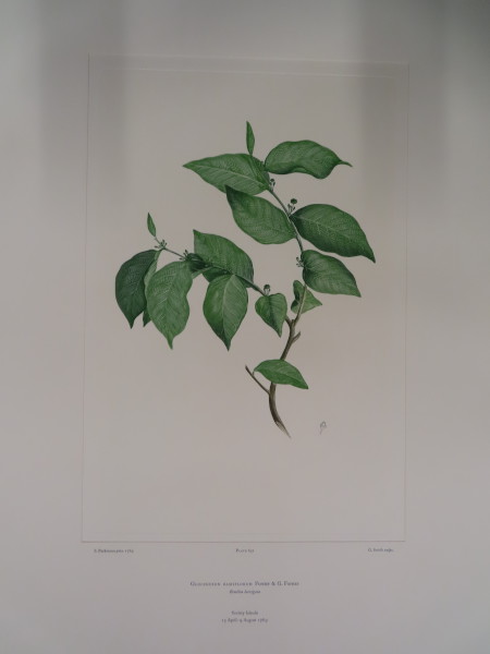image FDA-E.2916_31_4-2016
