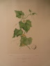 image FDA-E.2916_28_25-2016-A