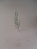 image FDA-E.2916_13_4-2016