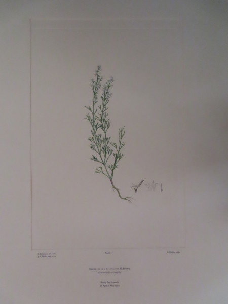 FDA-E.2916_13_4-2016 image FDA-E.2916_13_4-2016
