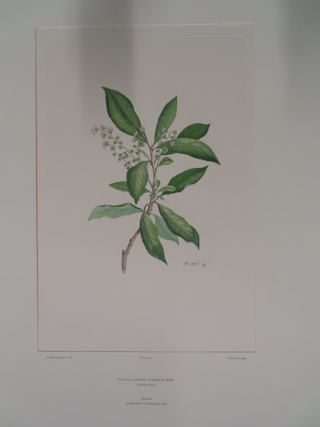 image FDA-E.2916_19_7-2016-A