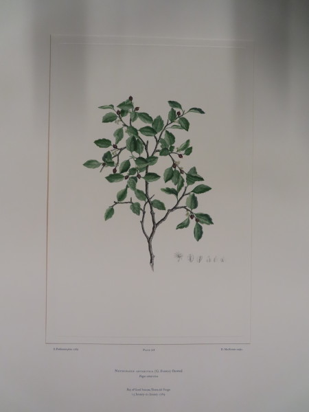 image FDA-E.2916_34_15-2016-A