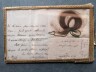image ECL.14_1-2025-A