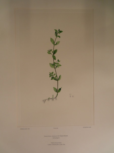 image FDA-E.2916_30_12-2016-A