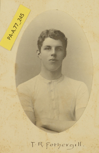 image PA-A.77_245-2014