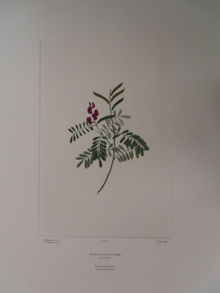FDA-E.2916_3_24-2016-A image FDA-E.2916_3_24-2016-A