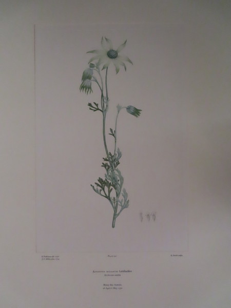 image FDA-E.2916_7_9-2016-A