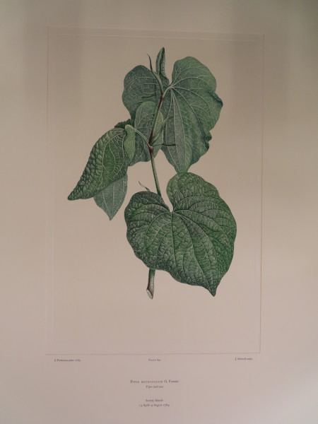 image FDA-E.2916_30_17-2016-A