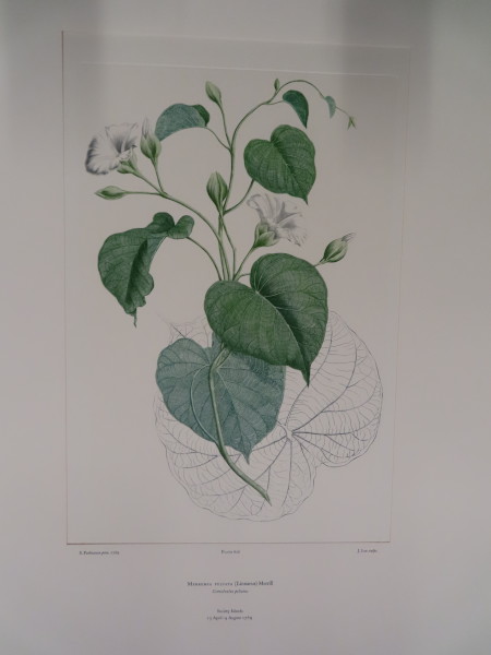 image FDA-E.2916_29_23-2016