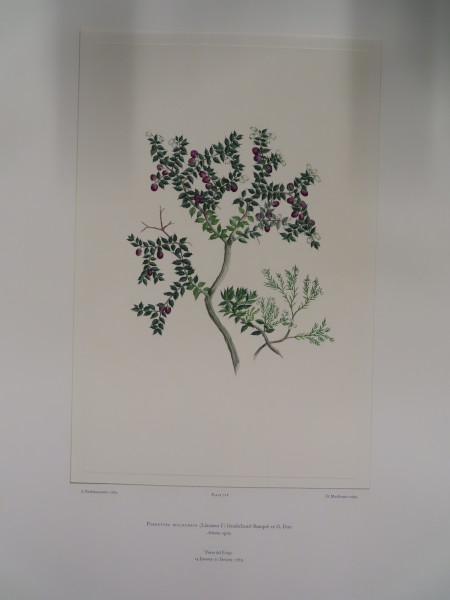 FDA-E.2916_34_5-2016-A image FDA-E.2916_34_5-2016-A