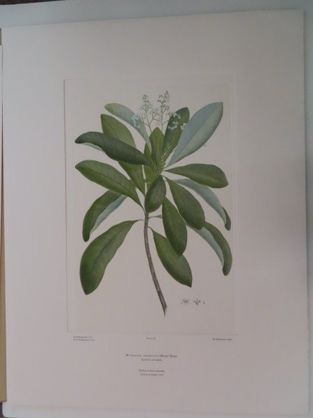 image FDA-E.2916_3_6-2016