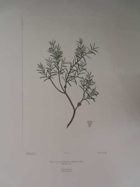 image FDA-E.2916_6_10-2016