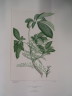 image FDA-E.2916_22_23-2016-A