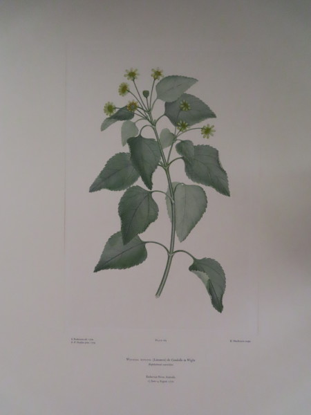 FDA-E.2916_8_10-2016 image FDA-E.2916_8_10-2016