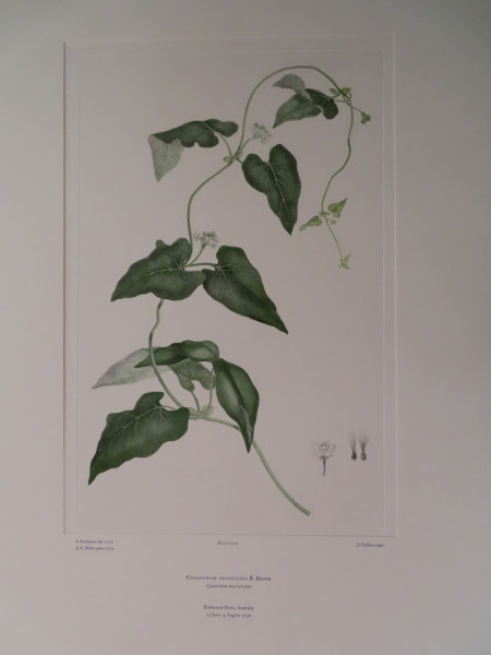 image FDA-E.2916_10_11-2016