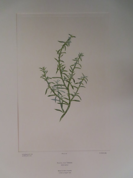 image FDA-E.2916_12_17-2016-A