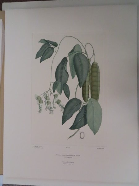 FDA-E.2916_4_12-2016 image FDA-E.2916_4_12-2016
