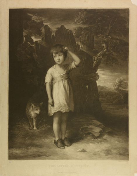 image FDA-E.356-2010