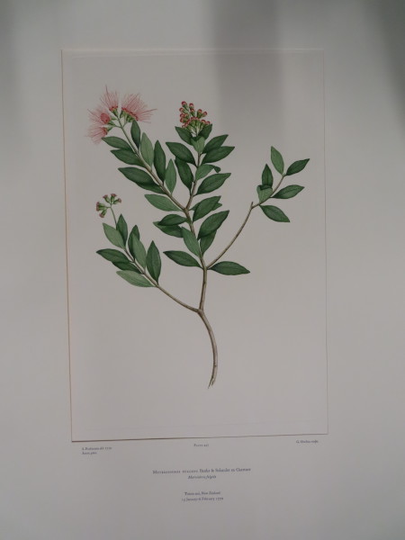 FDA-E.2916_22_4-2016 image FDA-E.2916_22_4-2016
