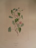 image FDA-E.2916_30_4-2016-A