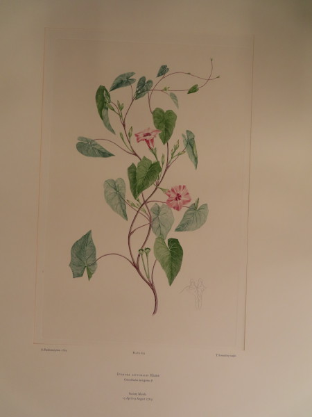 image FDA-E.2916_30_4-2016-A