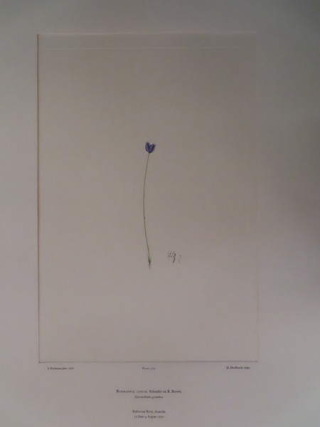 image FDA-E.2916_15_7-2016