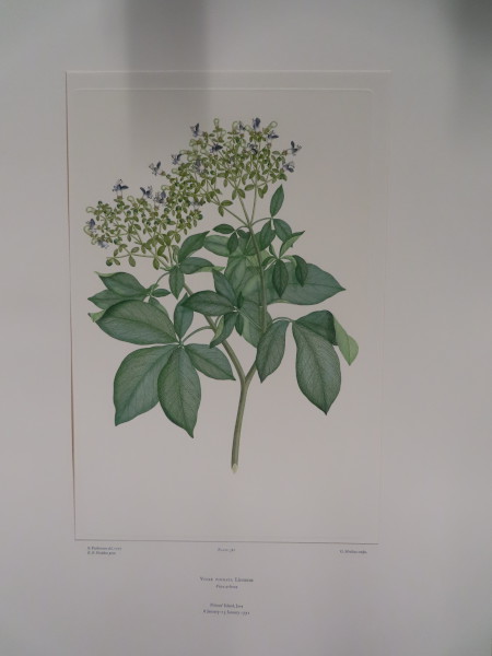 image FDA-E.2916_18_10-2016