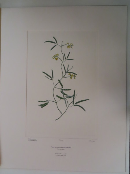image FDA-E.2916_4_17-2016