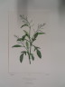 image FDA-E.2916_20_8-2016