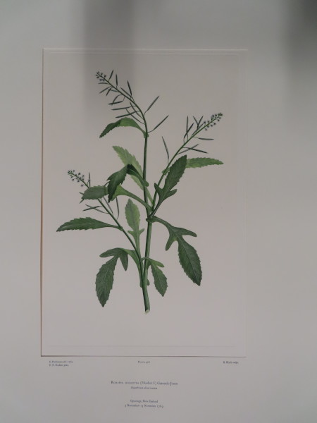image FDA-E.2916_20_8-2016