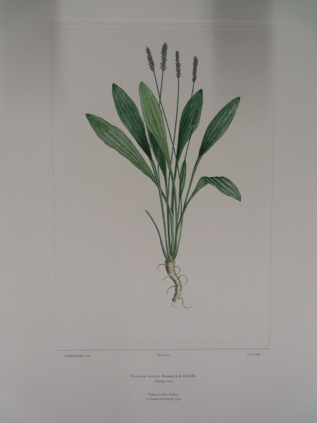 image FDA-E.2916_25_15-2016