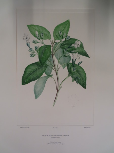 FDA-E.2916_30_9-2016 image FDA-E.2916_30_9-2016