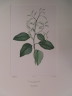 image FDA-E.2916_10_21-2016