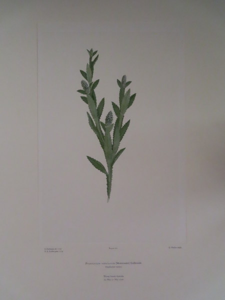 image FDA-E.2916_8_7-2016-A