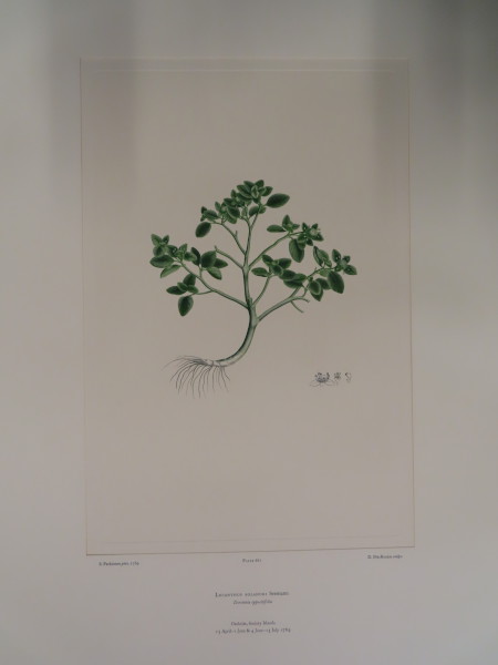 image FDA-E.2916_31_14-2016-A