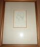 image FDA-D.597-2010
