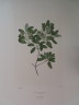 image FDA-E.2916_2_18-2016-A