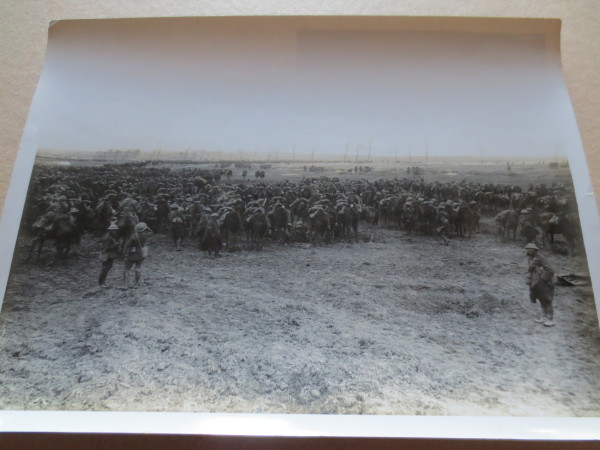 image ECL-O.146_16-2014