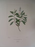 image FDA-E.2916_6_8-2016-A