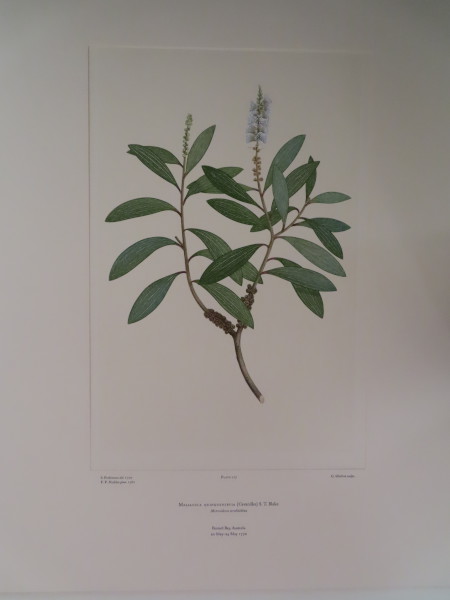 FDA-E.2916_6_8-2016-A image FDA-E.2916_6_8-2016-A