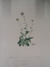 image FDA-E.2916_23_19-2016
