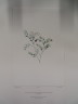 image FDA-E.2916_34_18-2016