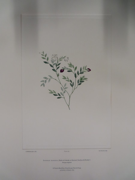 FDA-E.2916_34_18-2016 image FDA-E.2916_34_18-2016