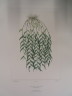 image FDA-E.2916_31_19-2016-A